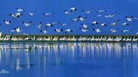 江西鄱阳湖国家级自然保护区管理局基层保护站管理人员怎么样