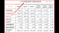 东风汽车股份有限公司2024年资产负债表存在的问题