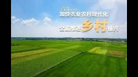 安徽省每个县镇一级主要做乡村振兴农村产业园核心章节是什么?