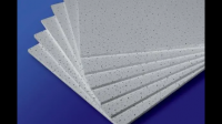 广西目前有多少家纸面石膏板生产企业