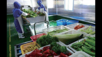 广州蔬菜配送业务当前的竞争度大吗，市场是否饱和了？