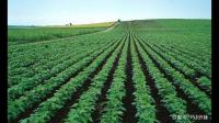 农产品种植行业现在怎么样，如果要从事相关行业，投入大吗？