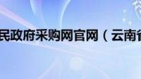 云南省政府采购网评审专家密码重置申请单和身份证扫描件做好后发给那个窗口？